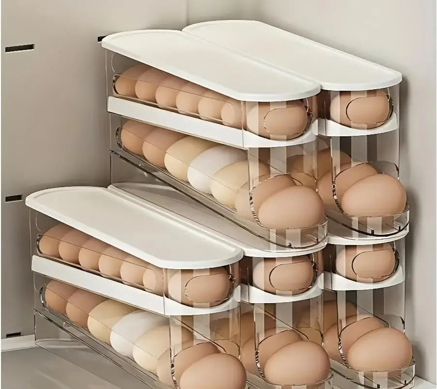 Rangement d'œufs